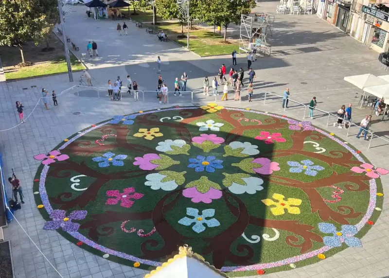 Alfombra Floral del Corpus Christi de Ponteareas