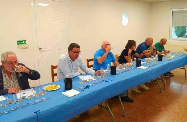 ata de vinos en la Festa do Viño de Barro 2025, con jurado degustando diferentes variedades de Albariño.